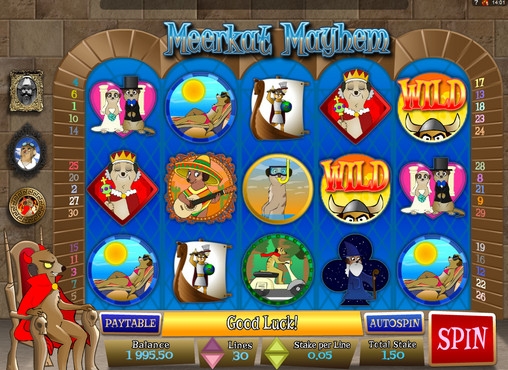 Meerkat Mayhem (Хаос среди сурикатов) из раздела Игровые автоматы
