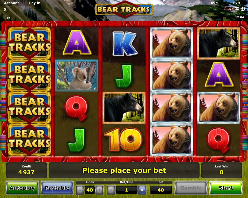 Bear Tracks (Медвежьи следы) из раздела Игровые автоматы