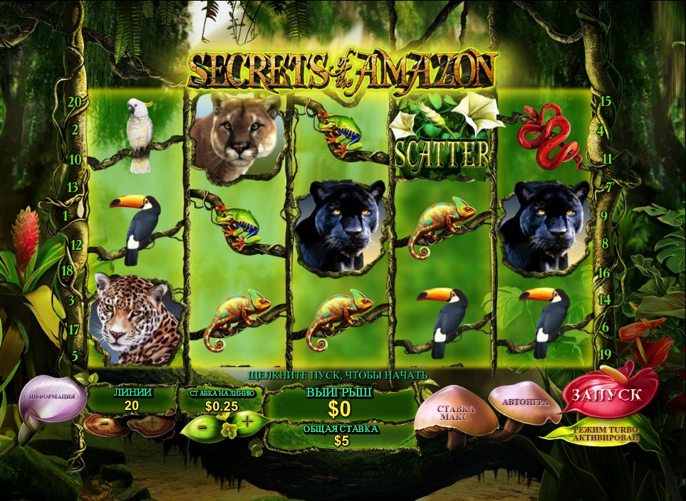 Secrets of the Amazon (Загадки Амазонки) из раздела Игровые автоматы