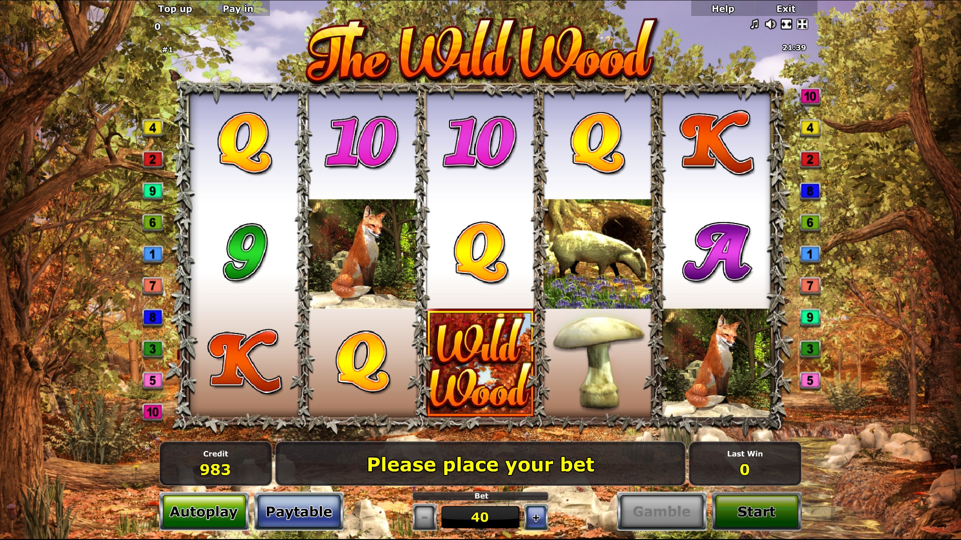 The Wild Wood (Дикий лес) из раздела Игровые автоматы