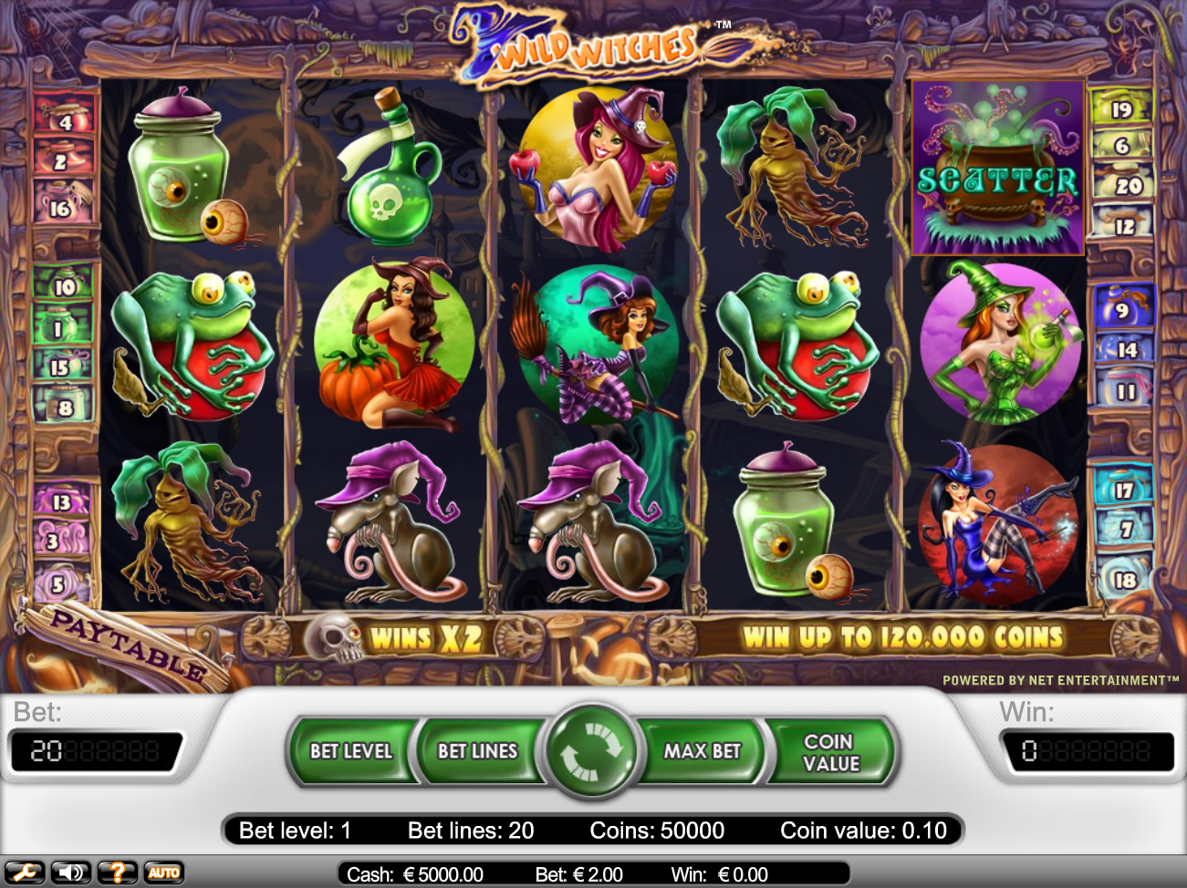 Wild Witches (Дикие ведьмы) из раздела Игровые автоматы