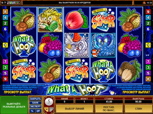 What a Hoot (Уханье совы) из раздела Игровые автоматы